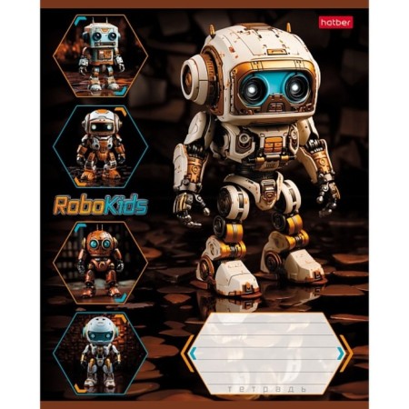 Notebook 18 sheets, in a cage, "Robo", cover coated cardboard, rounded angles, fields, block 65g/m2, mix-1