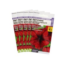 Superhocade petunia seeds 