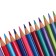 Pencils 36 Lion flowers