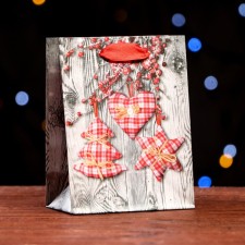 Laminated “Festive Fun” package 11.5 x 14.5 x 6 cm