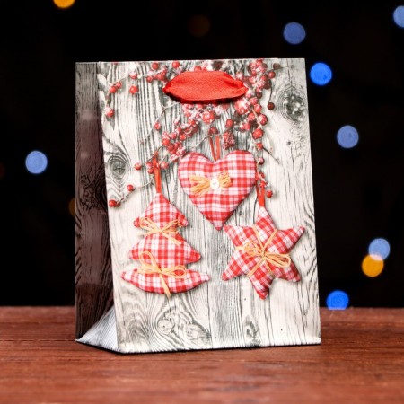 Laminated “Festive Fun” package 11.5 x 14.5 x 6 cm