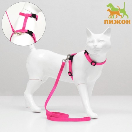 Kit for cats, width 1 cm, Osh 16.5-27 cm, fire 21-35 cm, leash 120 cm, pink