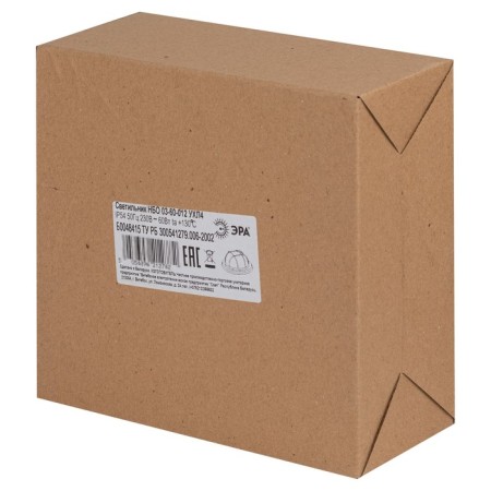 Lamp Era NBO 03-60-012 with a lattice, E27, 60W, 220x220x92 mm, IP54-7