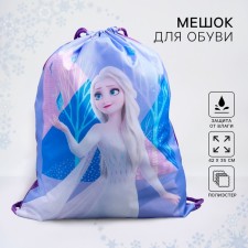 A bag for shoes 420 x 350 mm, cold heart 