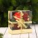 Cloth for one candle of "graceos" with berries, 13 cm d-4 cm
