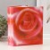 Photo album for 200 photos 10x15 cm "Rose Red"