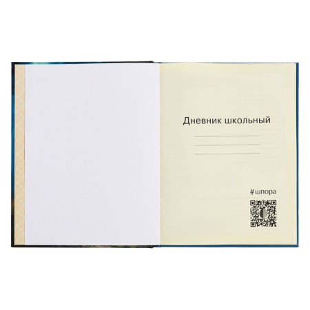Diary for grades 1-4, hard cover "Fairytale", matte lamination, selective varnish, block 60 g/m2-4
