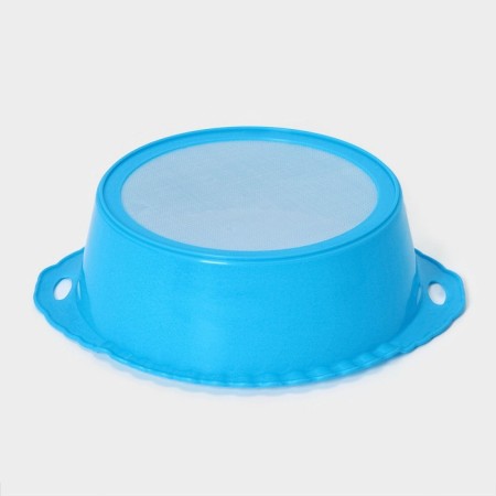 Plastic sieve, 25 × 22 × 7 cm, color mix-2