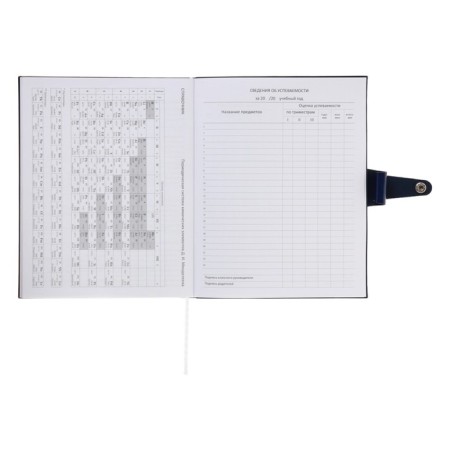 Universal diary for grade 1-11 Favorite, soft cover, button, artificial leather, foil embossing, refrain, lies, 48 ​​sheets-23
