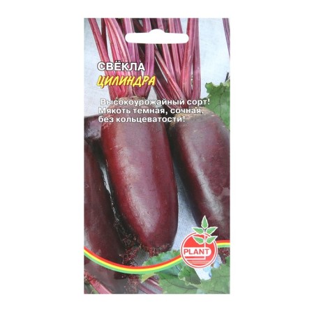 Cylinder beets seeds, 1 g-2
