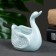 Swans pot of 9x5x7cm, mix