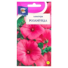 Flowers of Lavather Flowers 