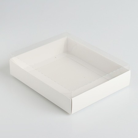BECOUSE for cookies with a transparent lid 16 x 13 x 3 cm-3