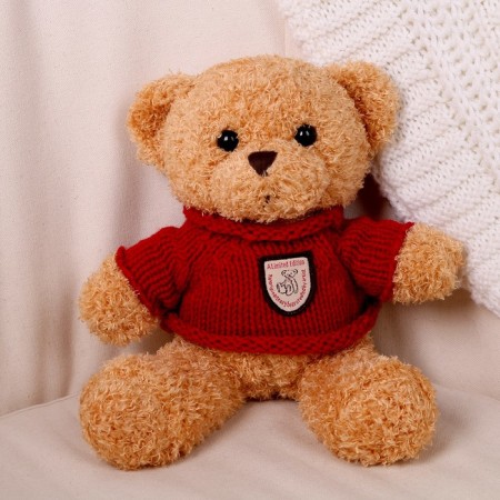 Soft toy "Bear" in the jacket, 28 cm, color mix-4