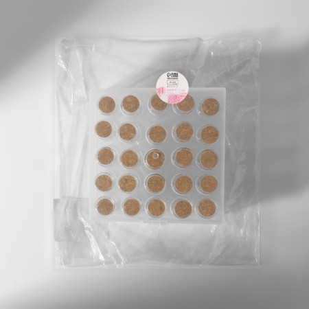 A set of jars for storing beads, d = 2 × 4 cm, 25 pcs, in a container, 11 × 11 × 5 cm-6