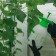 Pompoval sprayer, 2 l, ABS plastic, Greengo