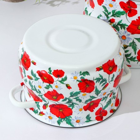 Set of pots "Siberian poppies", 2 items: 4 l, 5.5 l, enameled covers, induction-2