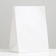 Craft package Paper Pack, rectangular bottom 26 x 15 x 34 cm 70 g/m2, set 20 pcs