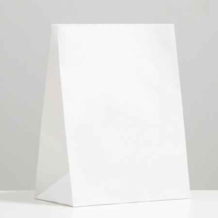 Craft package Paper Pack, rectangular bottom 26 x 15 x 34 cm 70 g/m2, set 20 pcs