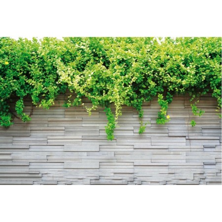 Photo Banner, 300 × 160 cm, with photo printing, eyelets step 1 m, "gray wall", Greengo