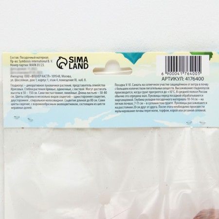Gladiolus corrugated "vuvouzla Frizzl", rr 8/10, 7 pcs,-2
