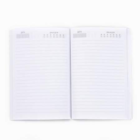 Gift set to the "beloved teacher": A5 diary, 80l, stickers and pen-2