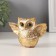 Souvenir Polystone "Golden Eagle Filin with spread wings" geometric. Patterns 11.5x3.2x7.8 cm 10323