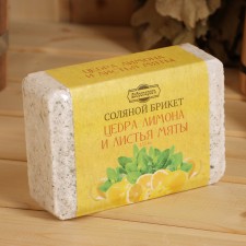 Salt briquette 