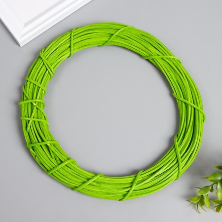 Ring Roadan for manufacturing a green catcher "Green" d = 20 cm