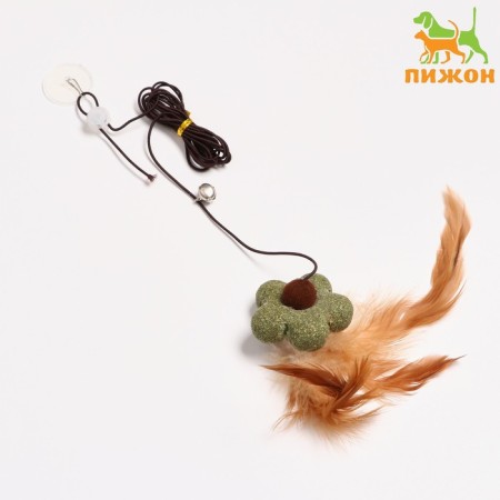 Cat tensile with feathers with cats with a cat and tambourine