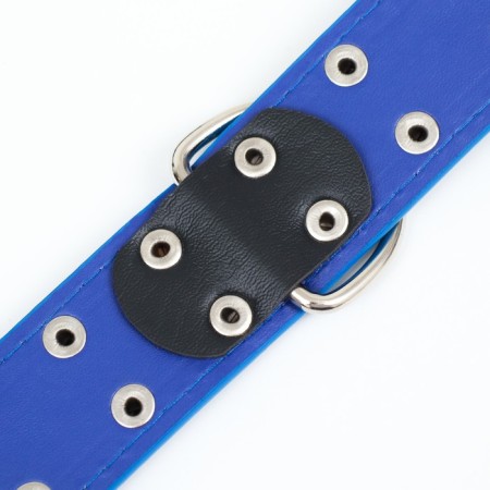 The collar of the clinker in 2 rows, 65 x 3.4 cm, Osh 50-60 cm, blue-5