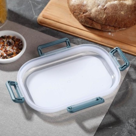 Lunch-Box "Encouraging appetite", 2 departments, 650 ml-2