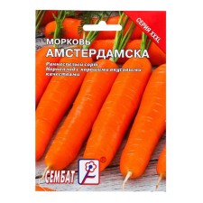 Seeds of XXXL carrots 