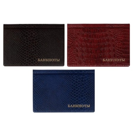 Album for Bon 125 x 185 mm Calligrata, 24 banknotes, covering artificial leather, blue-5