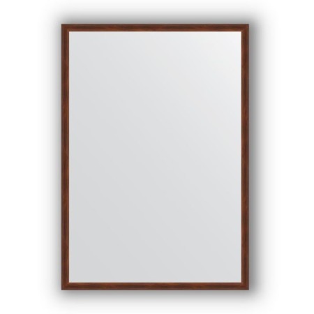 Mirror in the baguette frame - a nut 22 mm, 48 x 68 cm, evoForm