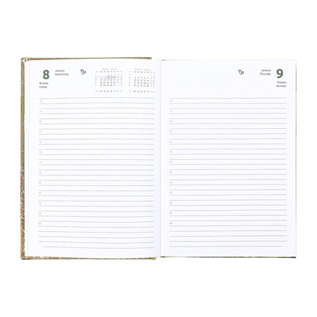 Dated diary 2025, A5 168 sheets, Attomex. Arkona, solid cover, boumvinyl with foam, liesse, block 70, gold-10
