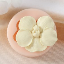 Mold Silicon 