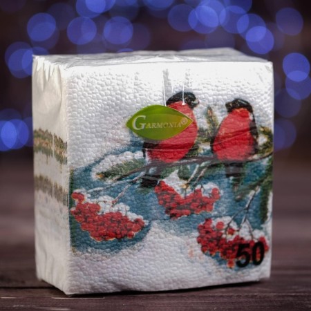 Paper napkins "Color Harmony", 24x24 cm, 50 pcs, with a pattern "bullfinch"-3