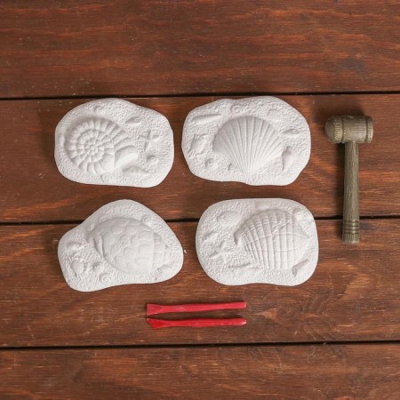 Set of archaeologist "Mollusk", series: 4 briquettes, hammer, chisel-1