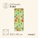 Tourist Maclay rug, with foil, 200x80x0.3 cm, green color