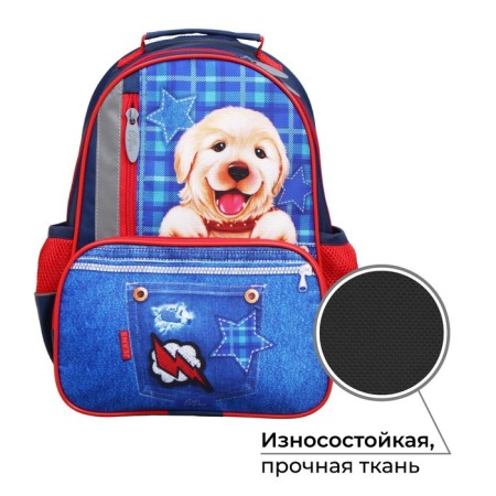School backpack, 37 x 26 x 13 cm, ergonomic back, calligrata orth "puppy on jeans", blue-1