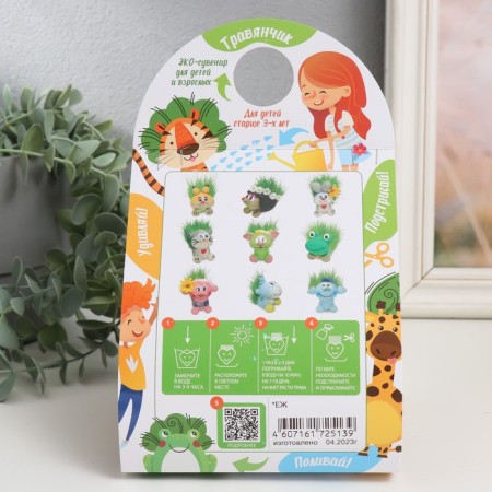 Growing gift grass "Hedgehog"-6