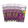 Flowers of Petunia Dot Star "Andromeda", multi -flowered, F1, set 5 pcs
