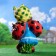 Garden figure "Gnome Girl Boy Cowdow with Grapes" 44x21x64cm