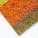 Mosaic sticker with uniform stickers "Cute giraffes"