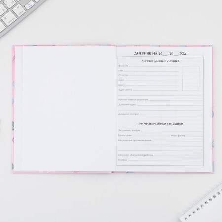 School Diary 5-11 Grade 1 September 1: Macaroon, solid cover 7BC, glossy lamination, 48 sheets-2