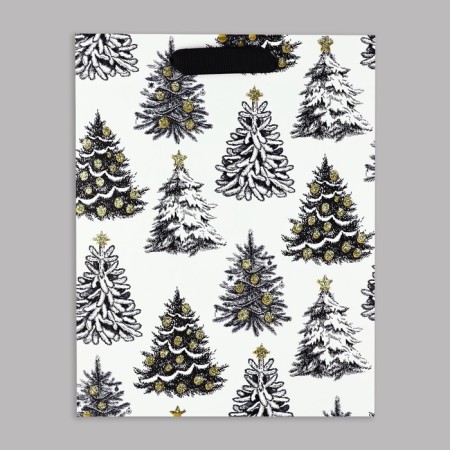 Package Gift New Year Laminated "Winter Tale", MS 23 x 18 x 10 cm, New Year-3