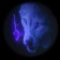 Projection on the door, LED, "Wolf", set 2 pcs
