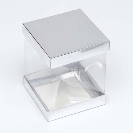 Box with PVC mini 10 x 10 x 12 cm "silver"-1