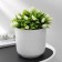 Kashpo for flowers with an insert "Linel", 2.7 l, d = 16 cm, h = 16 cm, white color